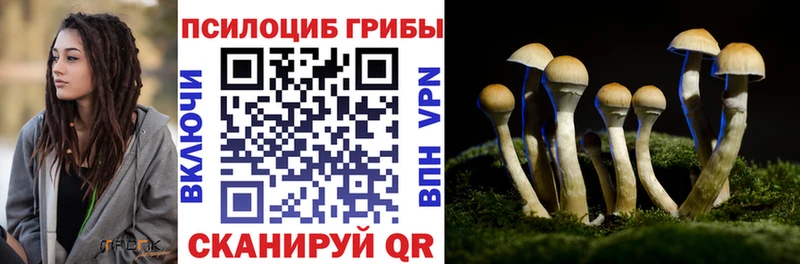 как найти закладки Саратов Галлюциногенные грибы ЛСД